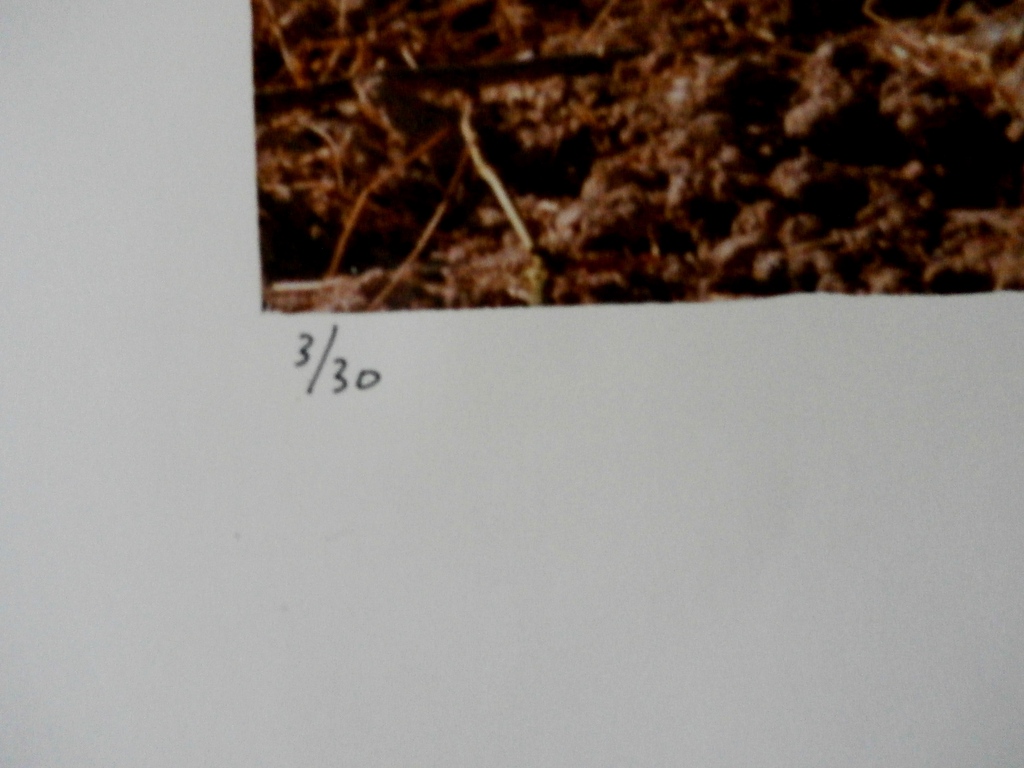 Jean Ruiter - foto - 1985 kopen? Bied vanaf 60!