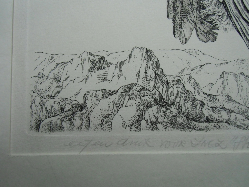 STAAND VOGELTJE  //  ETS VAN DICK STOLWIJK kopen? Bied vanaf 50!