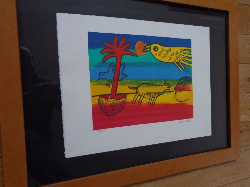 CORNEILLE / REGENBOOGKLEUREN / KLEURLITHO / 62x80cm / KADER / SIG kopen? Bied vanaf 110!