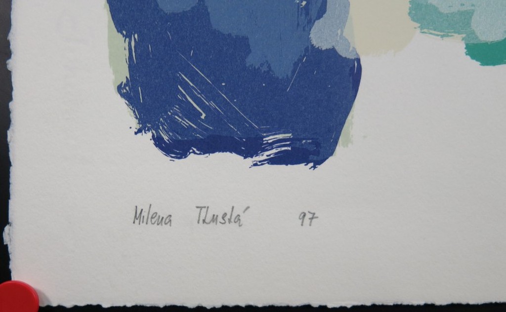 Milena Tlusta: Zeefdruk, Blauwe Compositie kopen? Bied vanaf 1!