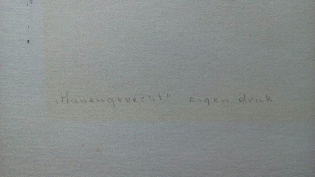 Riky Schellart: litho Hanengevecht, eigen druk kopen? Bied vanaf 25!