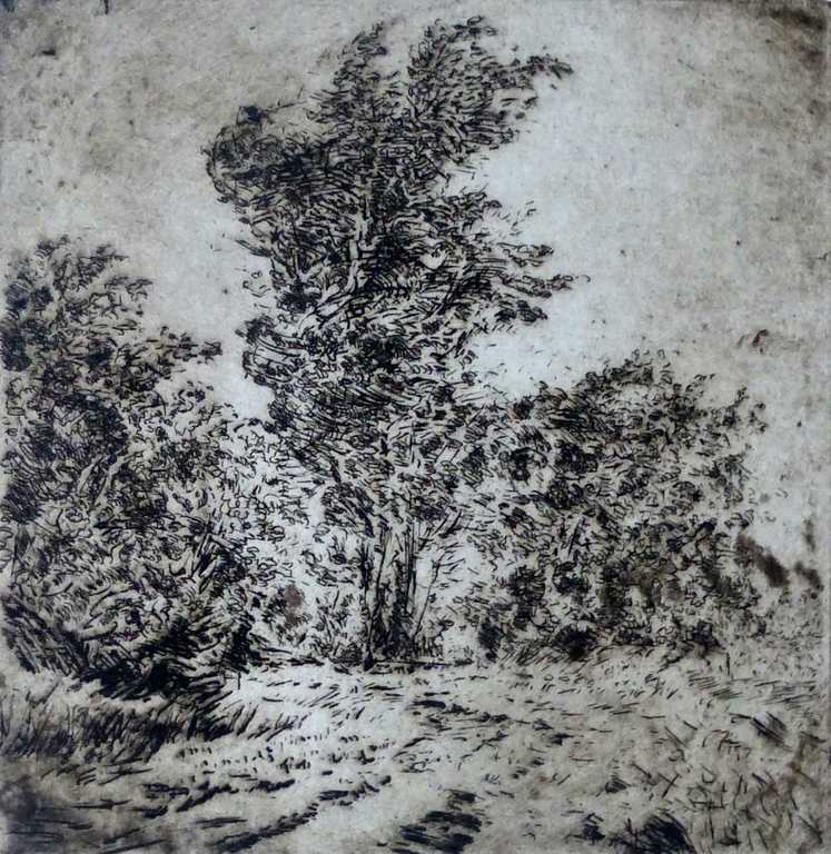 Wim Steijn - ets: Bomen 2 - 1971 verkocht voor € 35!