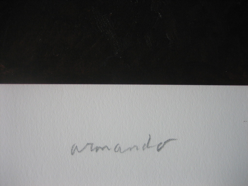 Armando - "Rotes Bild" - Giclee - Handgesigneerd en -genummerd - 2016 kopen? Bied vanaf 95!