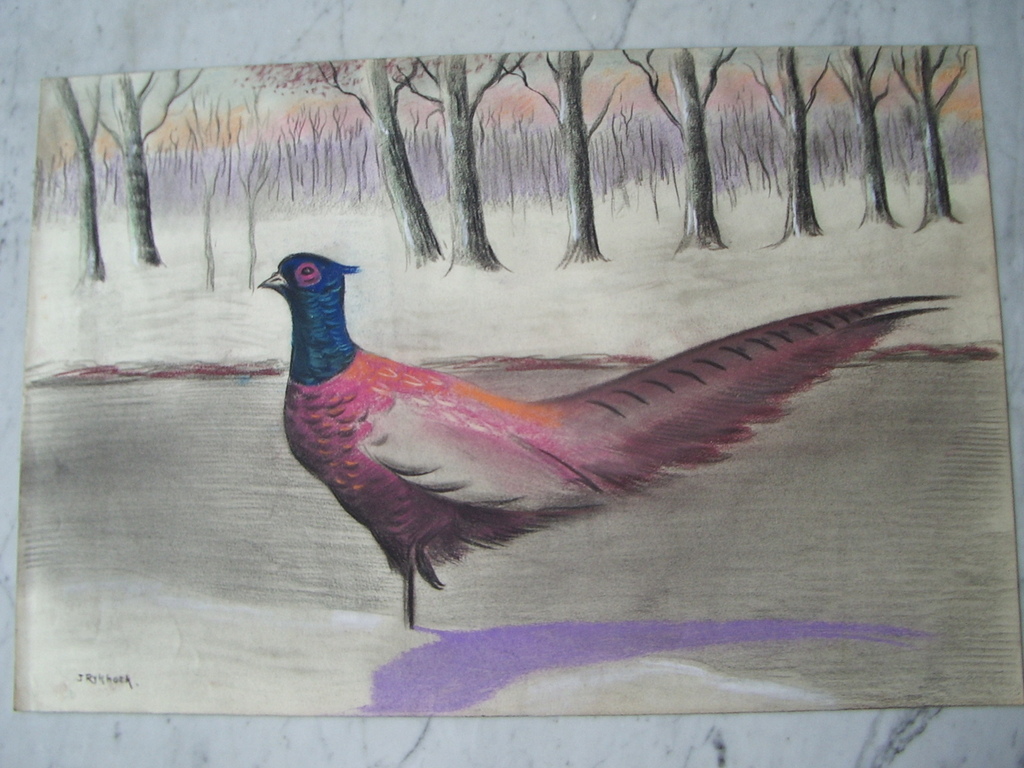 Jan Rijkhoek: gemengde techniek - fazant kopen? Bied vanaf 20!