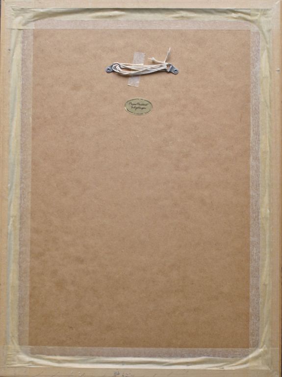 "Nyctea Scandiaca" (Sneeuwuil) Kleurenets 1994 kopen? Bied vanaf 20!