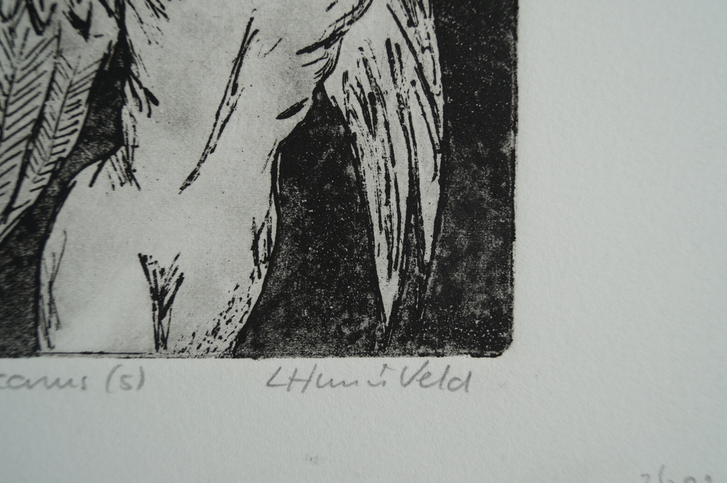 Loes Huis in 't Veld - ets - Icarus (5) - 15 ex. kopen? Bied vanaf 1!