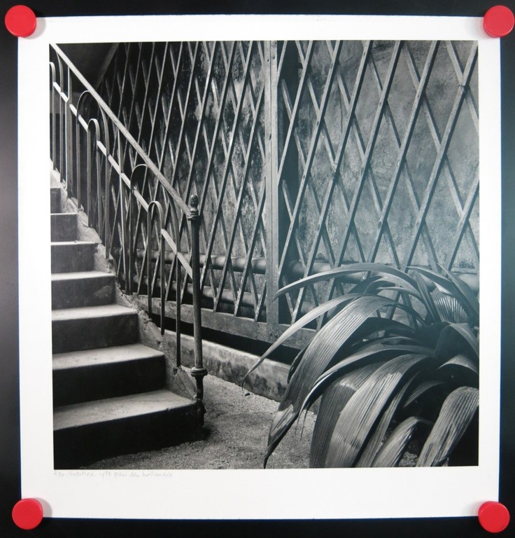 Paul den Hollander: Foto, Untitled kopen? Bied vanaf 1!