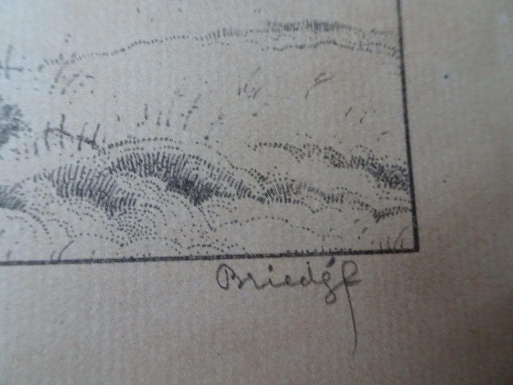 Johan Briedé Twee werken  op papier. Bosgezicht- Knotwilg  kopen? Bied vanaf 1!