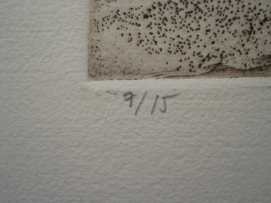 verfijnd realisme van Mariano Villegas Garcia - Zeer beperkte oplage Ets -   kopen? Bied vanaf 1!