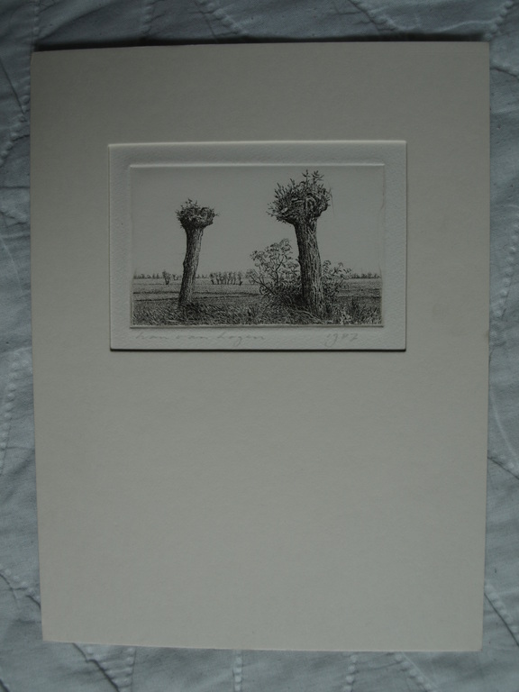 Han van Hagen (1944-) : Ets – Knotwilgen – gesigneerd – 1987 kopen? Bied vanaf 1!