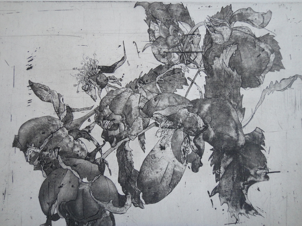 Jan Prins (1956) - (zeldzame) ets - tropische bloemen  kopen? Bied vanaf 1!