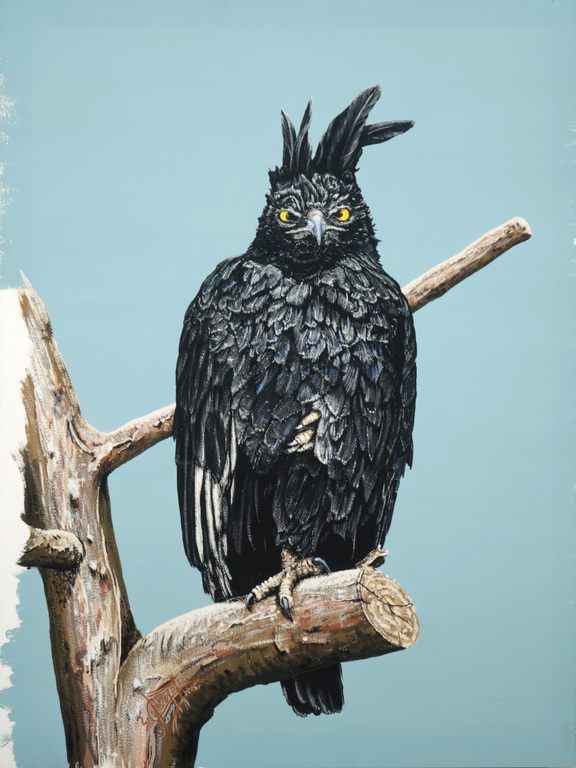 Onbekende kunstenaar: Acryl en krijt op papier, Zwarte vogel kopen? Bied vanaf 1!