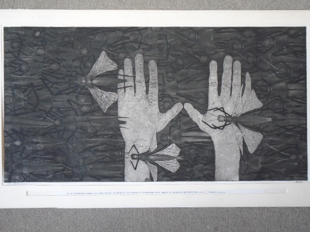 Harry van Kruiningen-Ets-Sprinkhanen verkocht voor € 95!