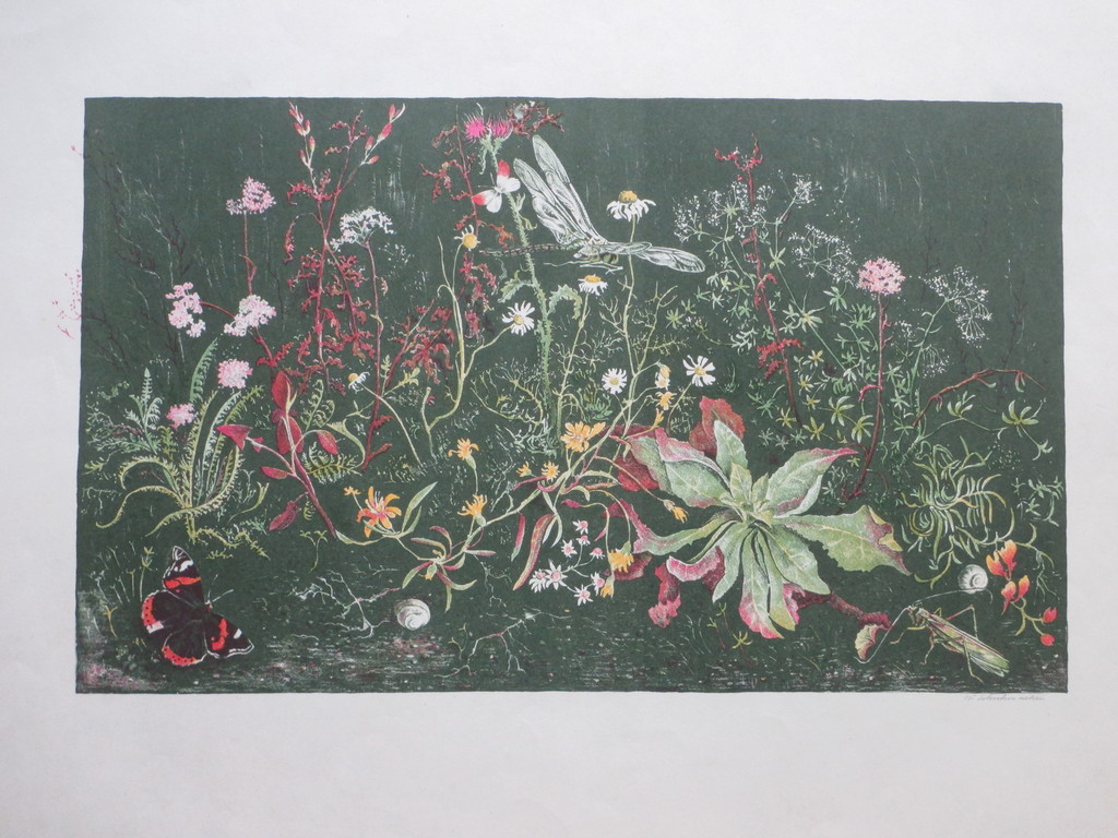 Wim Schuhmacher, Planten en insekten, Kleurenlitho kopen? Bied vanaf 30!