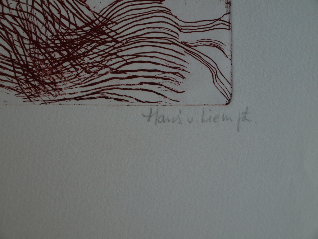 Hans van Liempt : Ets – Landschap – gesigneerd  kopen? Bied vanaf 1!