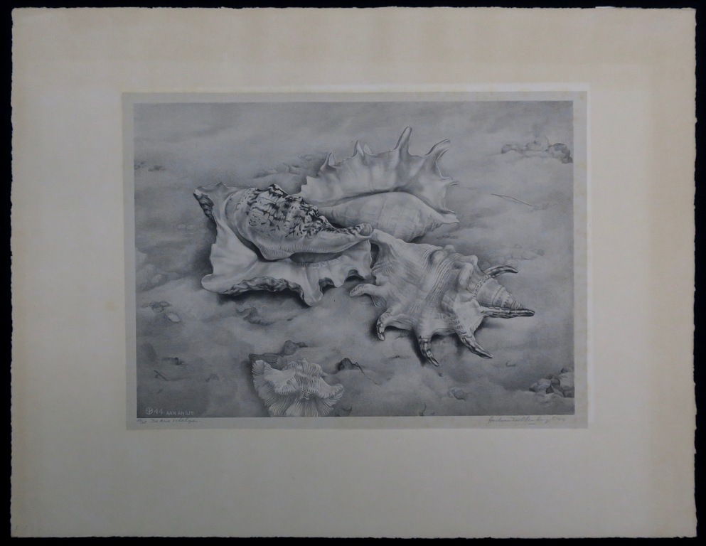 Aart van Dobbenburgh: Chine-Colle Litho, De drie schelpen kopen? Bied vanaf 1!