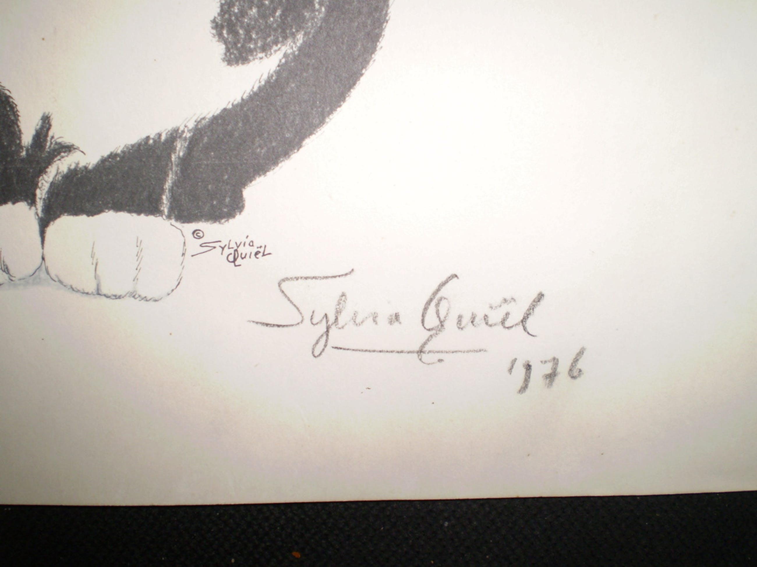 potloodtekening van Sylvia WillinkQuiël, liggende poes Verkocht