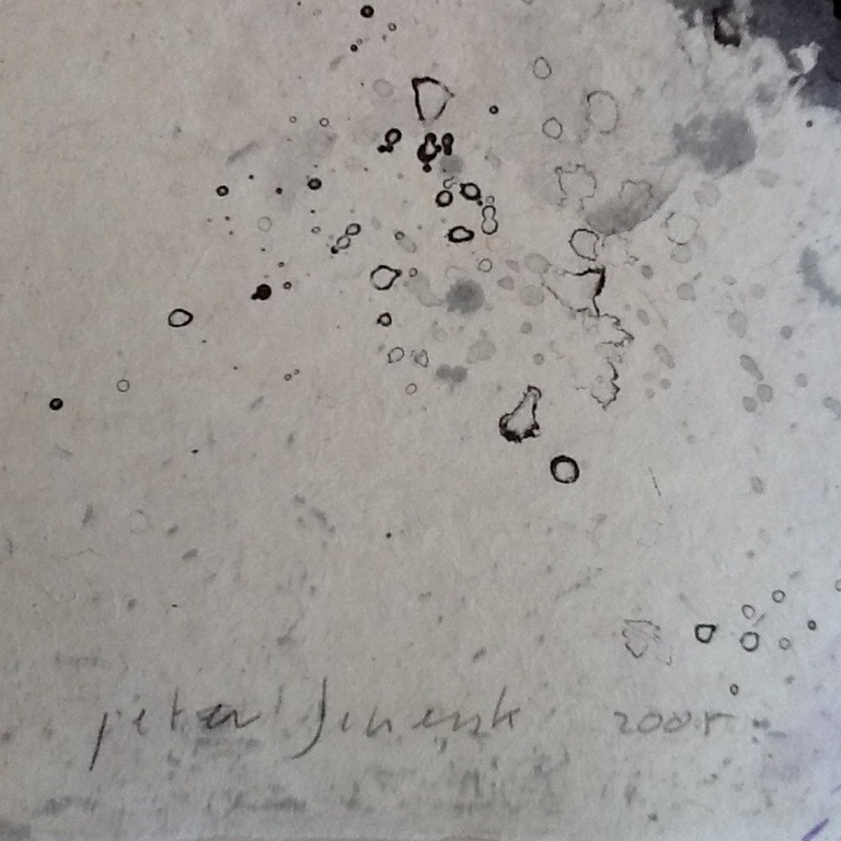 Peter Schenk, unica, verf en collage op zeefdruk, gesigneerd, 2005 kopen? Bied vanaf 85!