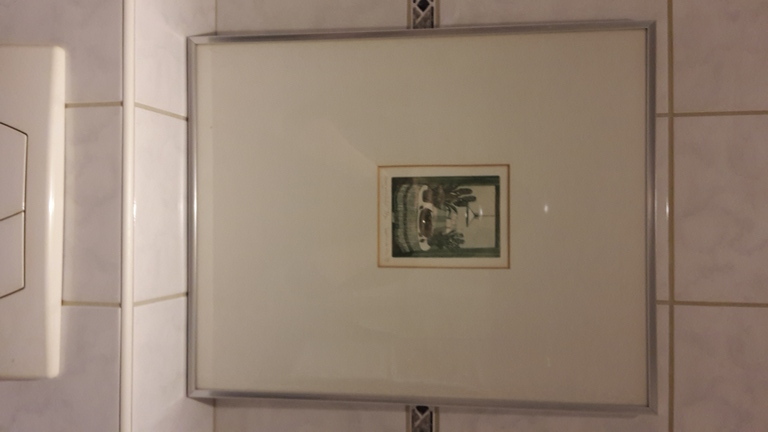 Laetitia de Haas, kleurenets,  kopen? Bied vanaf 50!