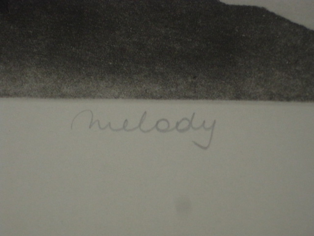 Colette Meltzer (1946-) grote Litho "Melody" gesigneerd 82/150 kopen? Bied vanaf 1!