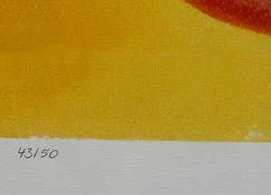 Stefan Szczesny - Stefan Szczesny - grote handgesigneerde Giclee kopen? Bied vanaf 79!