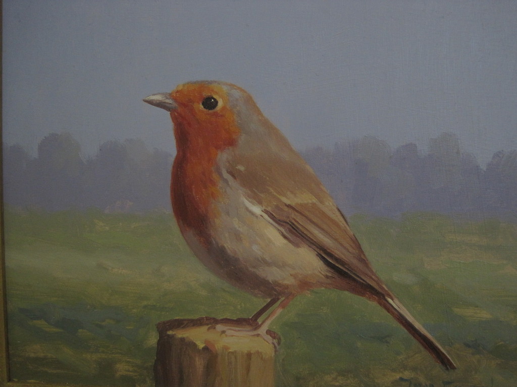 Jan Engel - olieverf - "Roodborstje" - verstild realisme gesigneerd kopen? Bied vanaf 1!