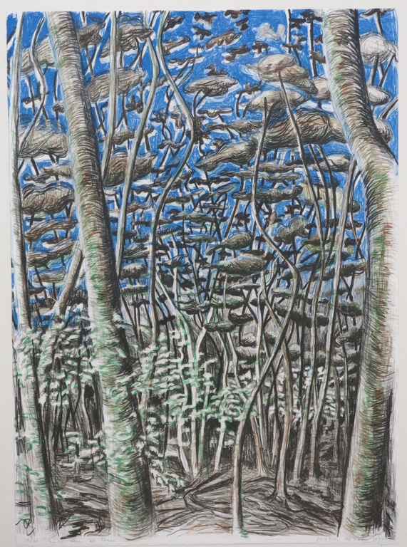 Jacobien de Rooij: Litho, Entre chien et loup - Ingelijst kopen? Bied vanaf 50!