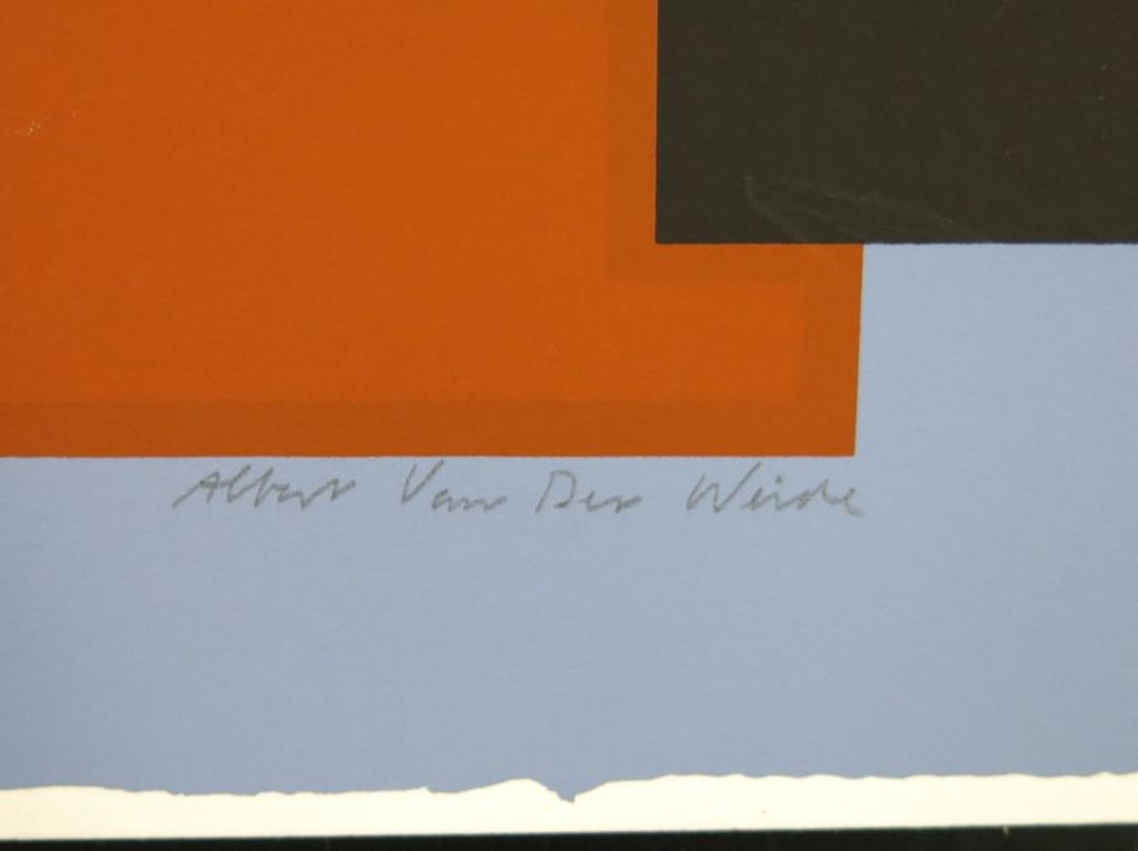 Albert van der Weide: Zeefdruk, Gezicht I kopen? Bied vanaf 1!