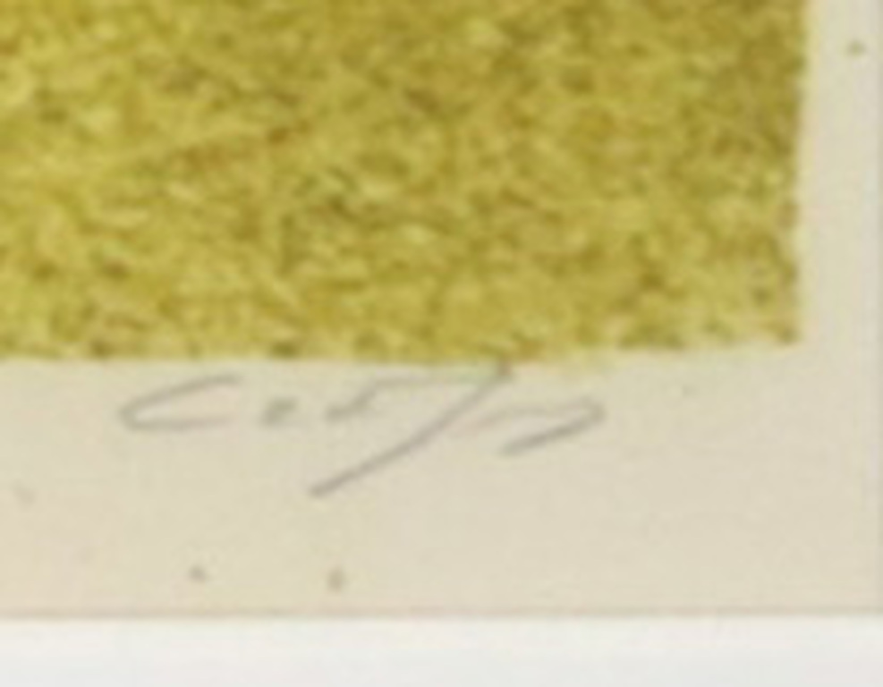 Cor de Jong: Kleurenlitho, Zonder titel - Ingelijst kopen? Bied vanaf 20!