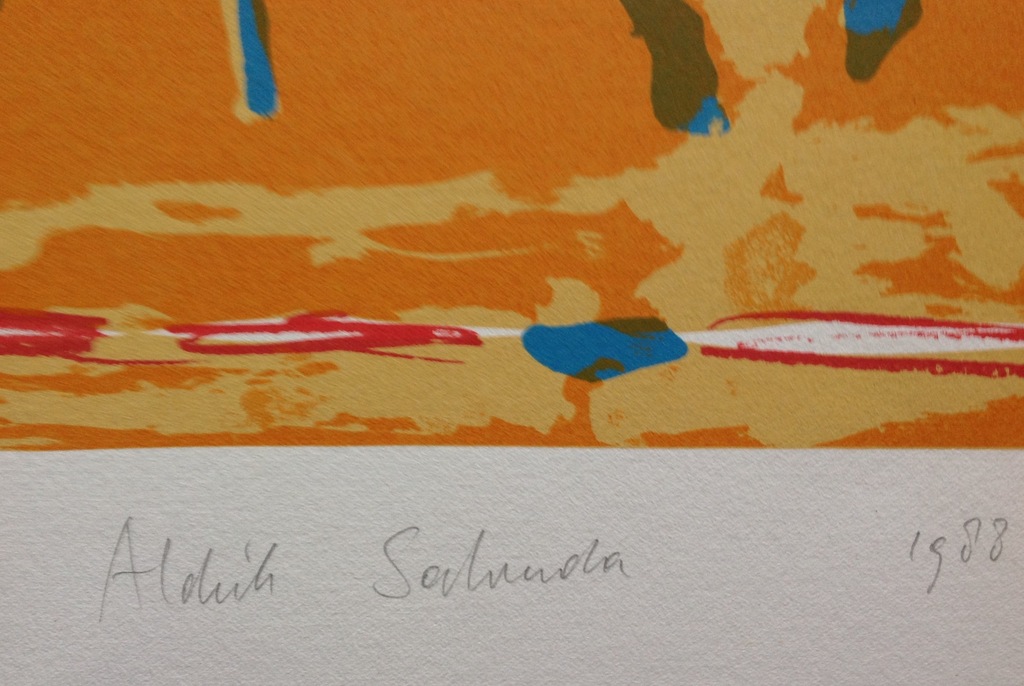 Aldrik Salverda, zeefdruk ('88) z.t. kopen? Bied vanaf 20!