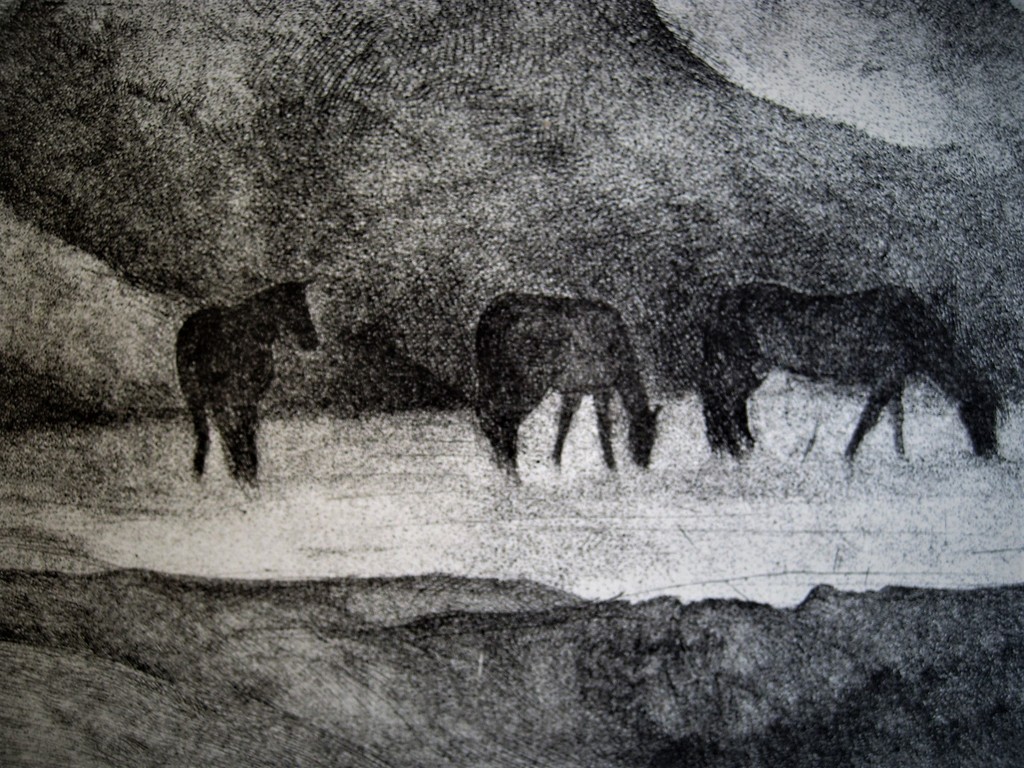 Zeldzaam "Paarden in het zand" Litho vn jonggestorven Grafica Karin Dekeukeleire kopen? Bied vanaf 1!