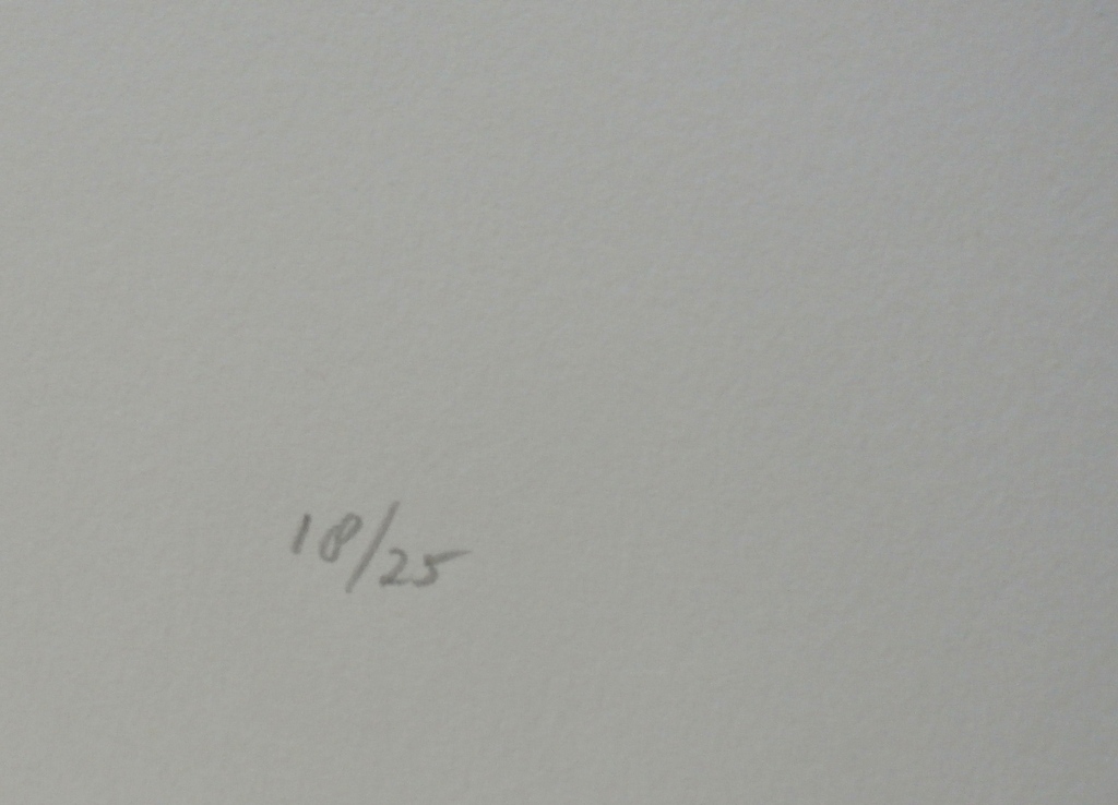 Armando - litho: confrontaties tussen potlood en papier (bomen)  kopen? Bied vanaf 225!