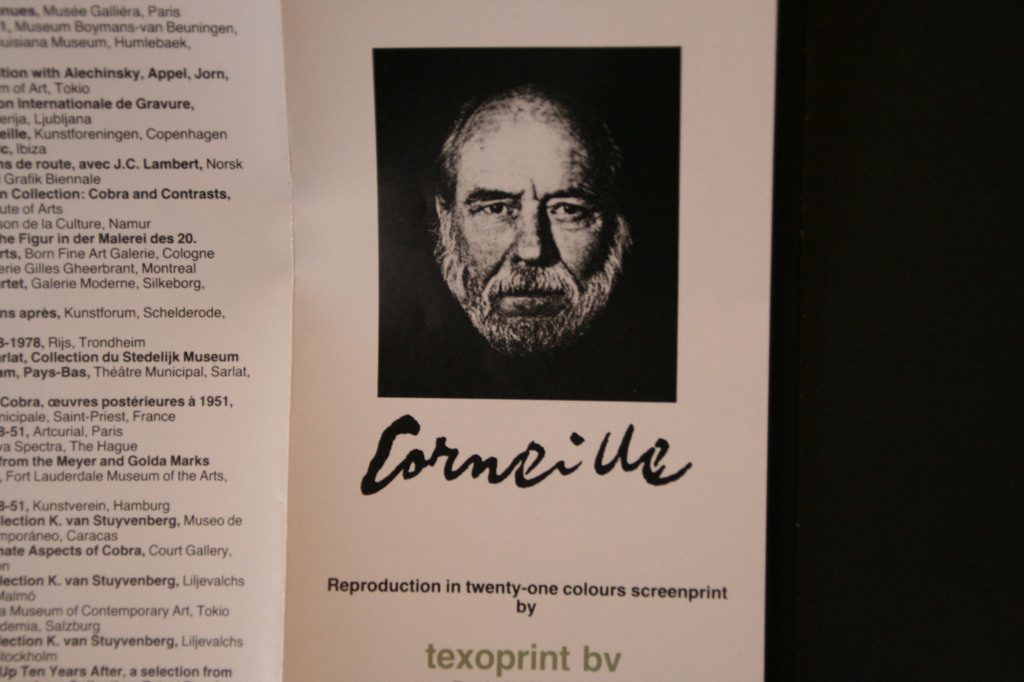 Corneille Zeefdruk op zijde  kopen? Bied vanaf 99!