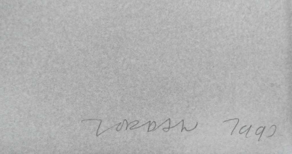 Peter Jordaan - zeefdruk 2 - 1993 kopen? Bied vanaf 35!