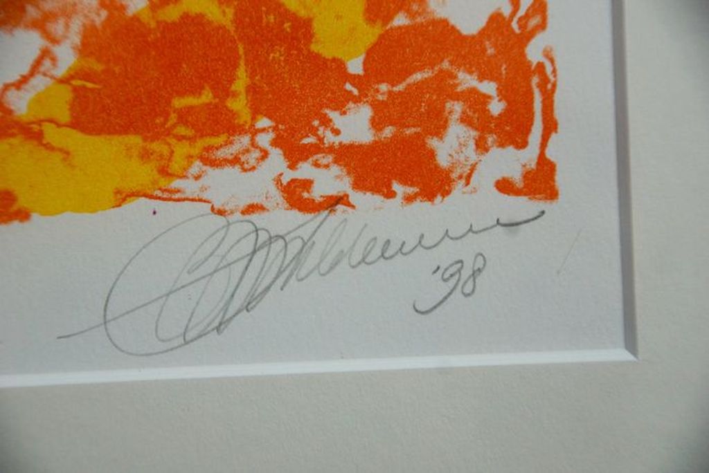 Ruimtelijke ordering in het jaar 2022 - gesigneerde lithografische druk  kopen? Bied vanaf 65!