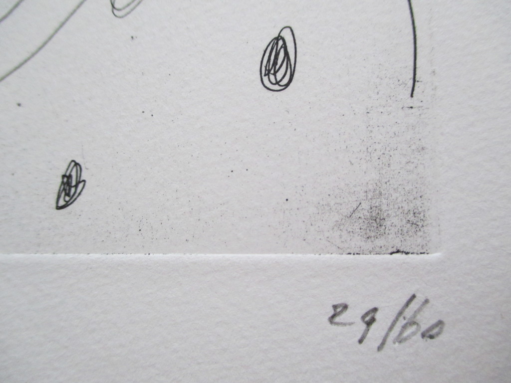 A. Freijmuth, ets "Het Goddelijk Dier" 1988 nr. 29/60 kopen? Bied vanaf 60!