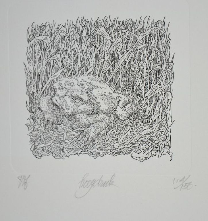 Peter Vos: Hoogdruk. Vreemde pad in het gras verkocht voor € 55!