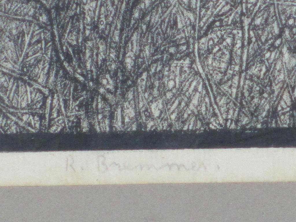 Rudolf Bremmer, Bosgezicht met vogels en vliegtuig, Houtsnede 1922 kopen? Bied vanaf 55!