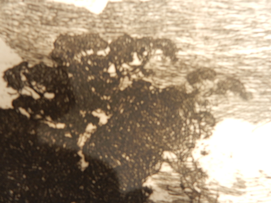 Willem de Zwart, ets, Boerderij tussen de Bomen kopen? Bied vanaf 50!