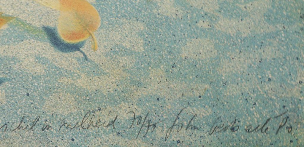 John Verberk: Litho, Het verschil in snelheid kopen? Bied vanaf 1!