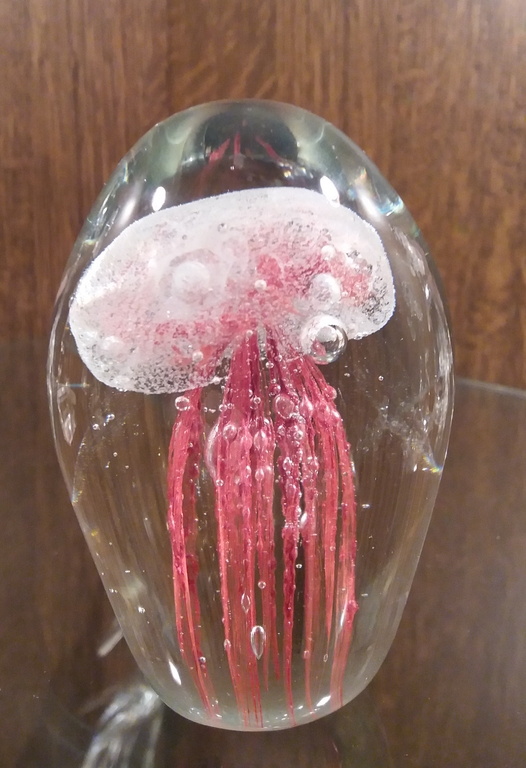 Presse-papier Jellyfish kopen? Bied vanaf 1!