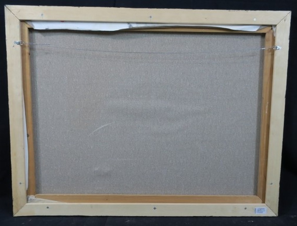 Meertje Kaal: Acryl,Olieverf en Collage op doek, De regisseur filmer - Ingelijst kopen? Bied vanaf 35!