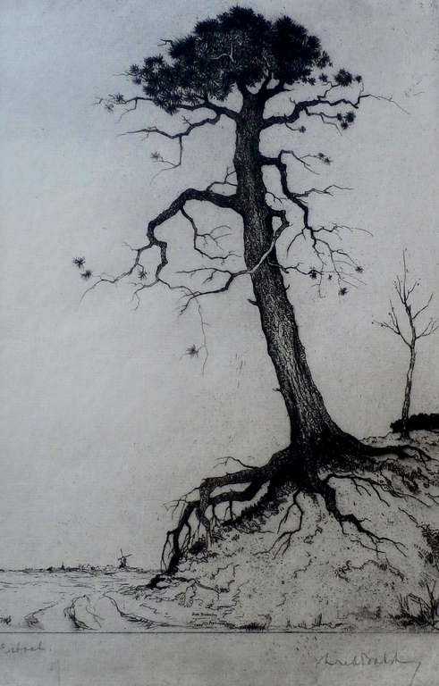 Dirk Baksteen - ets: Boom - 1956 kopen? Bied vanaf 80!