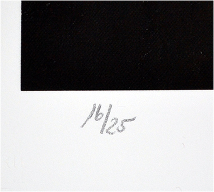 Armando, "Das Buch", kleuren giclee, gesigneerd, oplage 25, 2015 kopen? Bied vanaf 185!