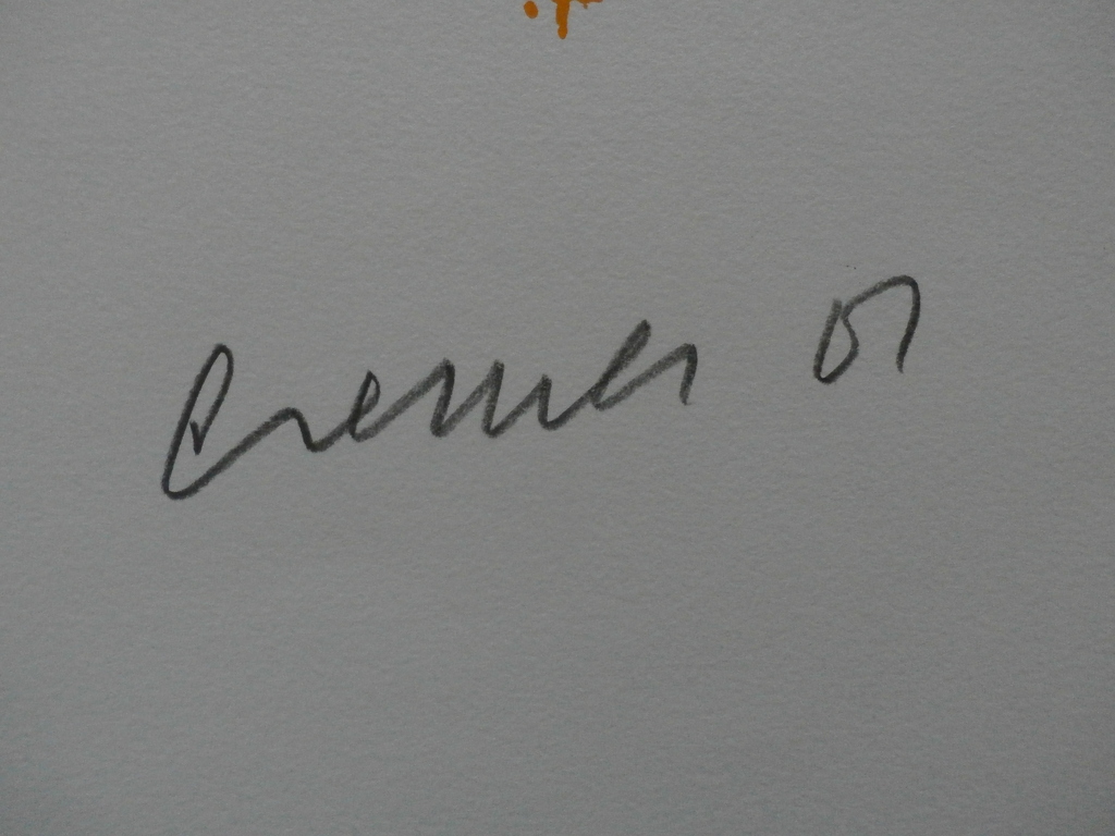 Jan Cremer - Zeefdruk: Tulips - 2001 - Groot! kopen? Bied vanaf 375!