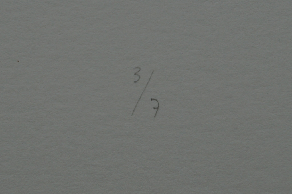 Onbekende kunstenaar - 4 gesigneerde zeefdrukken met gelijke oplagenummers kopen? Bied vanaf 10!