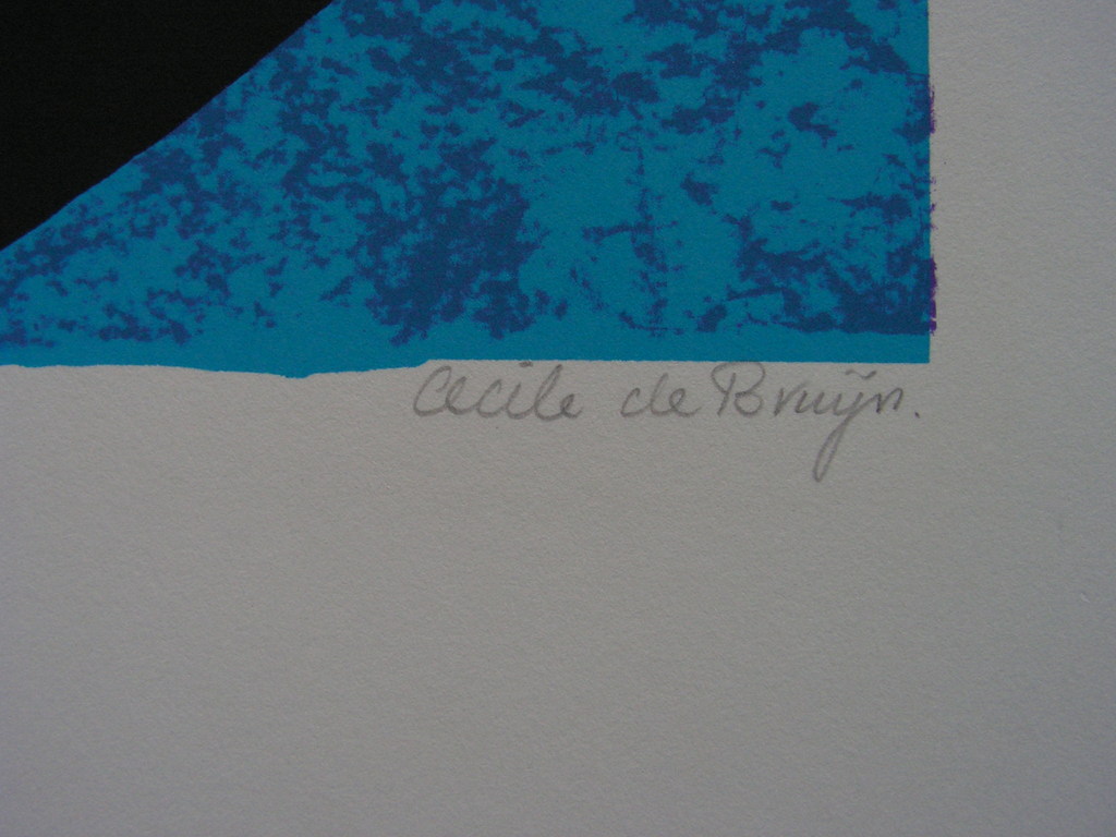 Cecile de Bruijn  -  zeefdruk - Afrique Bleu kopen? Bied vanaf 20!