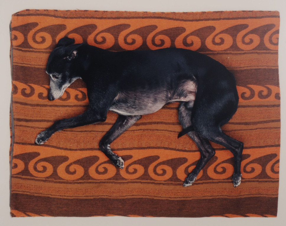 Maarten Wetsema: Foto, Rik op kleed - Ingelijst kopen? Bied vanaf 1!