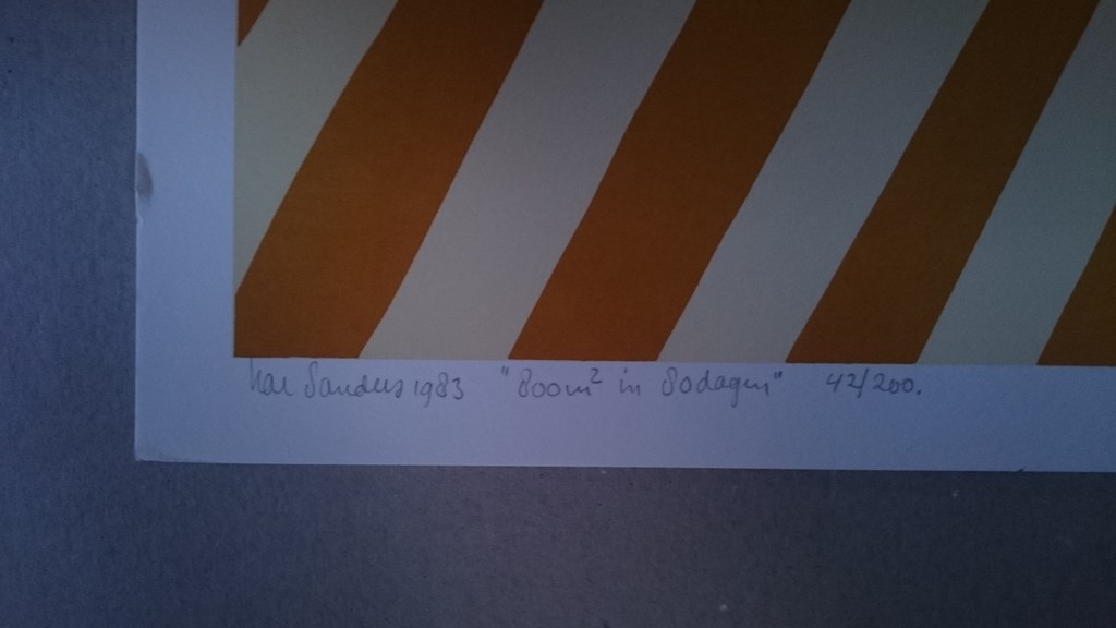 Har Sanders, zeefdruk, 800m2 in 80 dagen kopen? Bied vanaf 20!