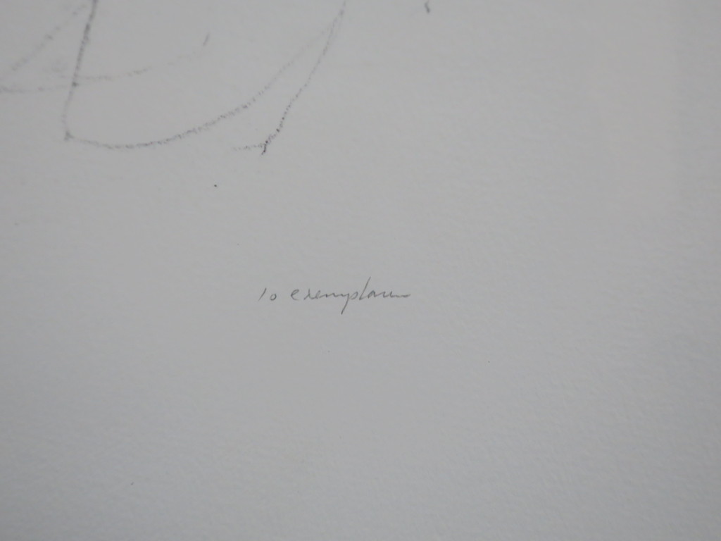 Jaap Hillenius: Litho, Met wit licht - Ingelijst kopen? Bied vanaf 35!